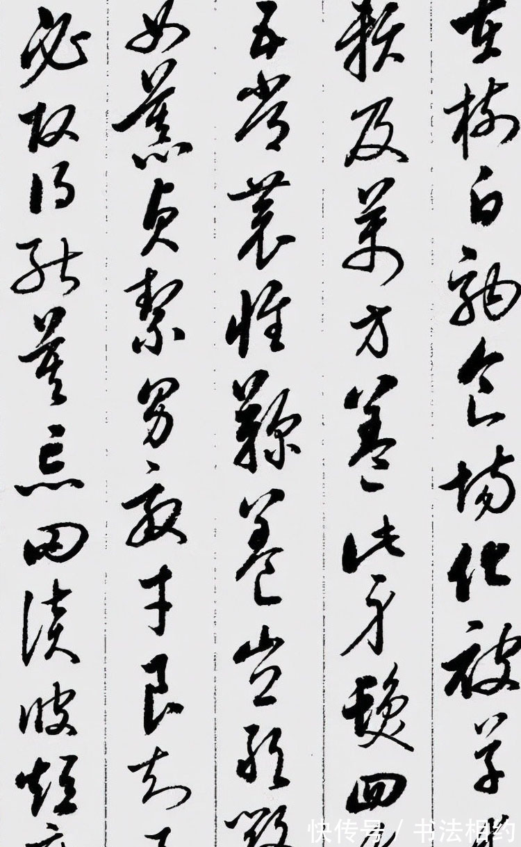 非常了得&难得一见!启功的草书“草而不狂”,稳重而大气,颠覆我们的认识