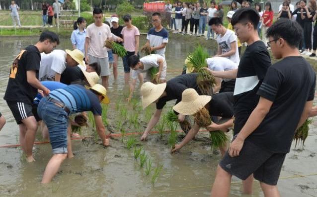 锄头|中国最接“地气”的大学，每个专业要干“农活”，否则就毕不了业