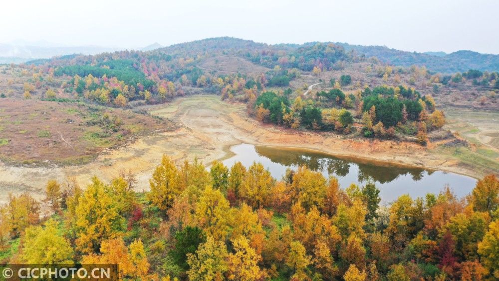 初冬|湖南新田：多彩初冬景色如画