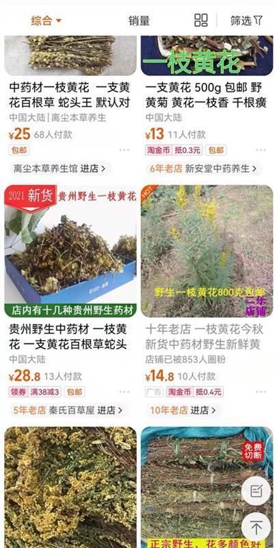 何瑞|网上售卖一枝黄花？专家：此花非彼花