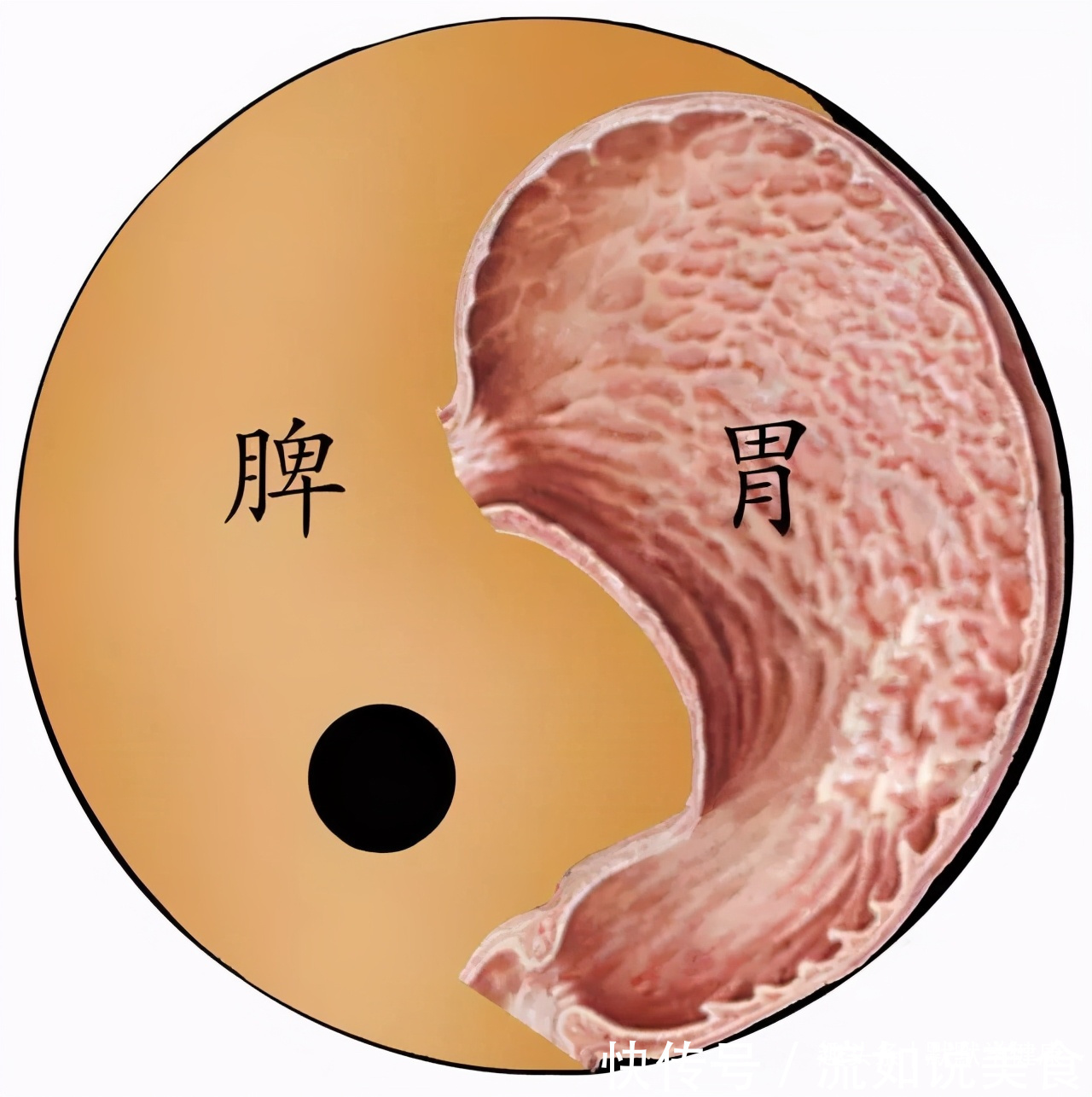 陰陽|2個助眠秘方，幫你平寒熱，調陰陽！失眠2年，只因“上熱下寒”