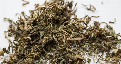 蒲公英|用蒲公英泡水喝好处多,2类人最好少喝,或许身体会感激你