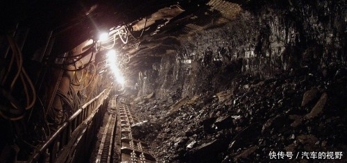 植物成煤,那几十米厚的煤层,得需要多少植物?