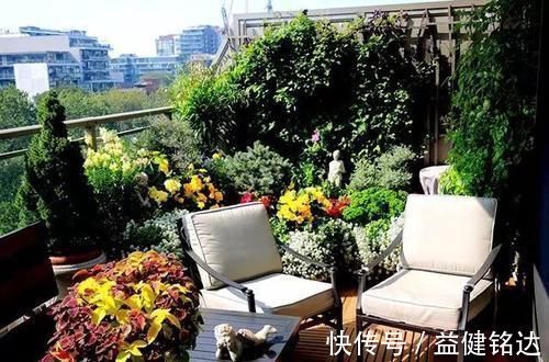 阳台上|阳台装修这么漂亮,客人更喜欢坐阳台!