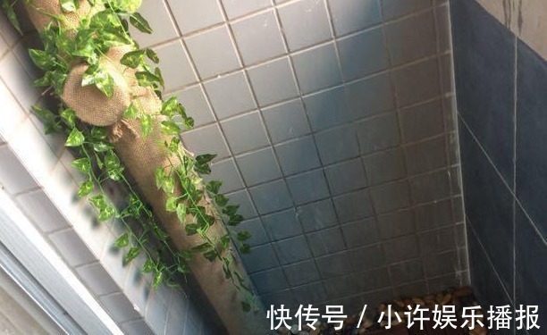 主卧室|老婆花200块在阳台包了根管道,一条破旧的麻袋,却成就了风景角