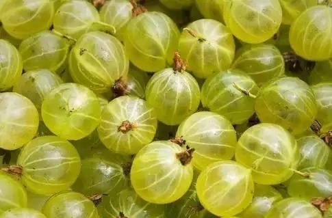  食物|人到中年，不妨多吃三种食物，润肠通便，增强食欲，爱吃就赚到