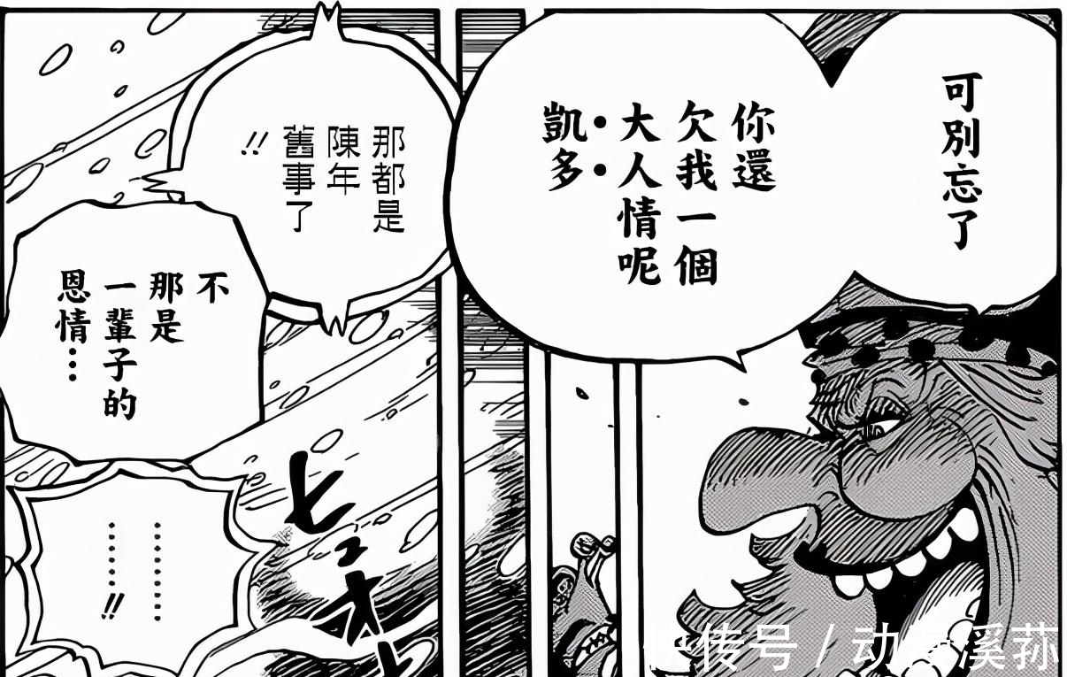 奎因|凯多吃了鱼鱼果实,虚伪的凯多也能下水,凯多和大妈故事有点多