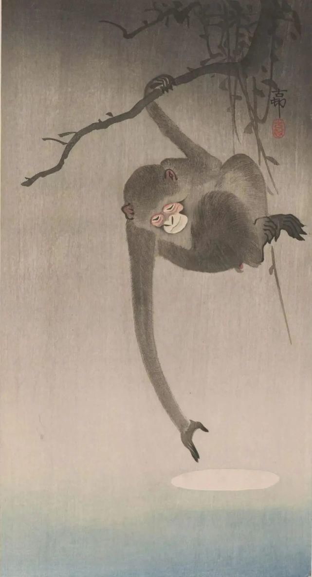 日本绘画大师的花鸟画，淡雅清新