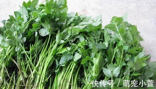 腊肉|食用期长达5个月,却少有人去摘,如今正当季,炒腊肉是一绝!
