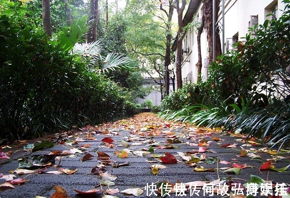 李商隐&唐代诗人写秋雨的这17句诗,句句经典,百读不厌