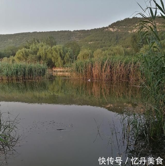 大鱼|高温天,钓大鱼先克服这些“难题”,不是我吹,渔获瞬间猛增几倍
