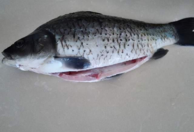 炖鱼汤不可直接加水炖,牢记这3点,鱼汤浓白鲜香,好喝无腥味