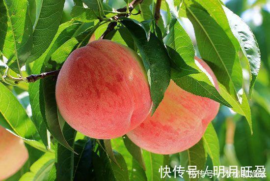 海姆立克急救法|3岁男童樱桃卡喉,父母两个“果断”令医生称赞,家长们也要学会