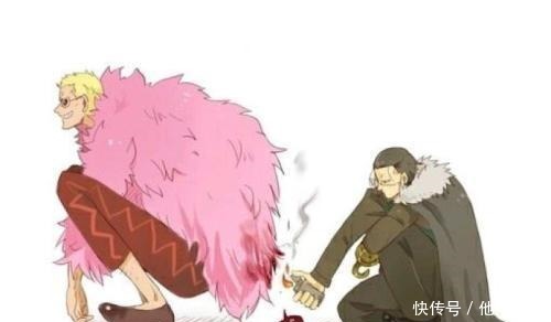 海贼王质量最好的5件衣服,路飞的撑不破,巴基都是渣渣