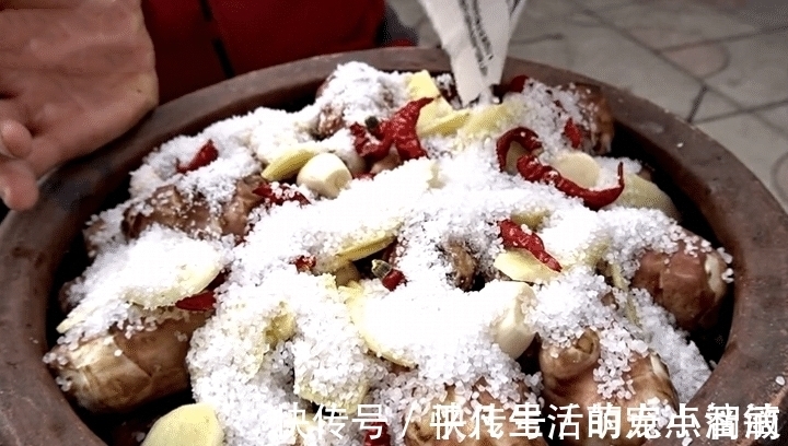 这菜不花一分钱，腌一腌储存一年都不坏，现在正当季，不懂可惜了