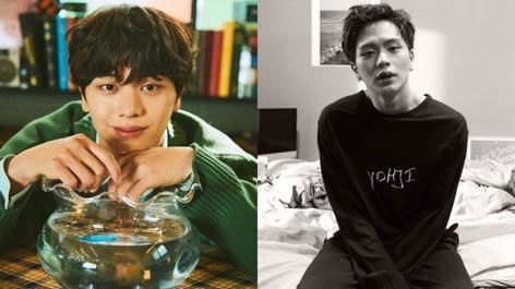 韩整形医生票选「韩男最想要的男星脸蛋」，第一名完全不意外