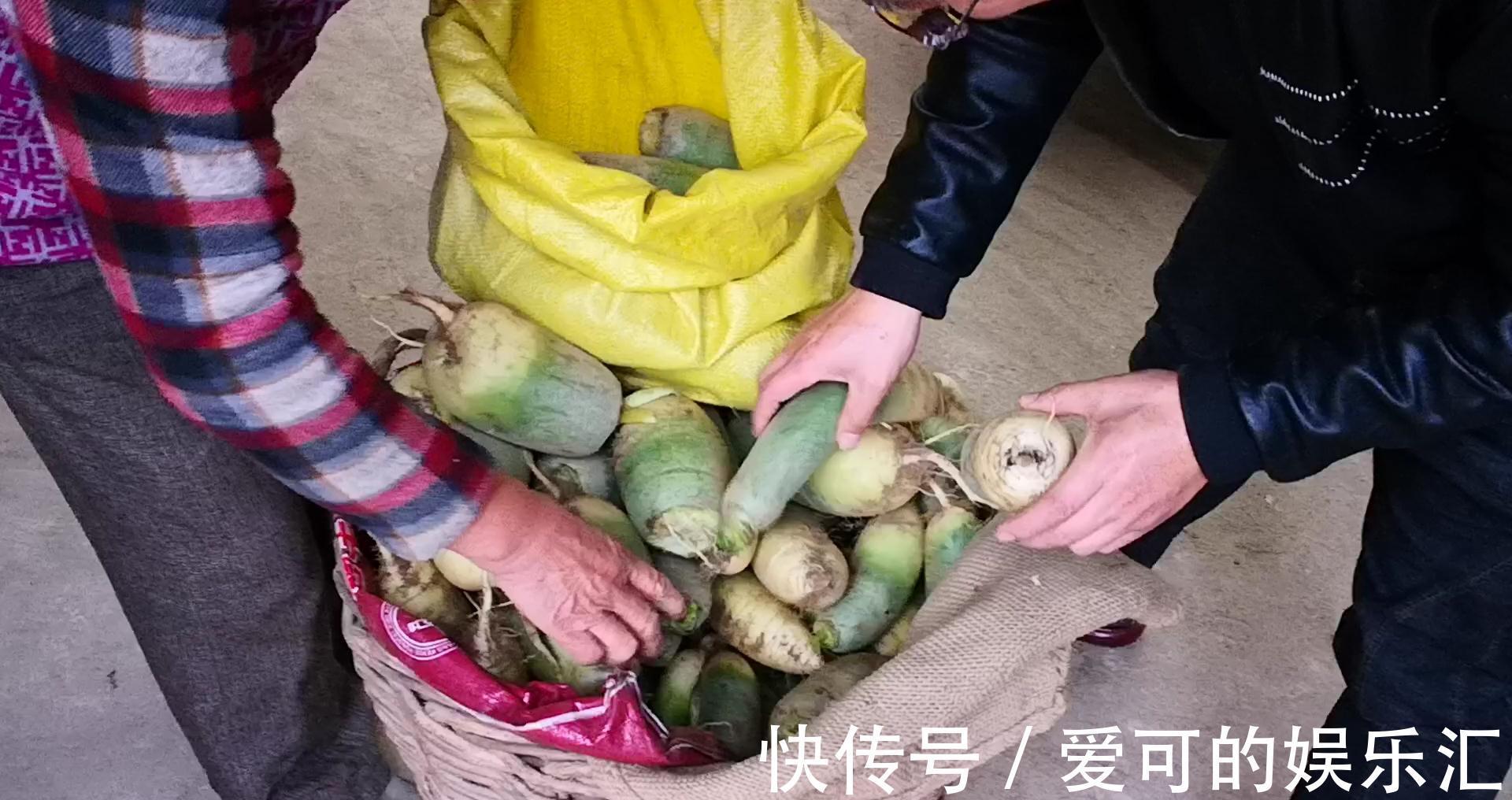 保存萝卜不放冰箱、不埋土,简单3步,一冬不糠,天天吃新鲜萝卜