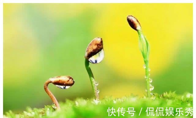 中老年人|春季养生,养的是肝脏,这些养生禁忌,要多加注意