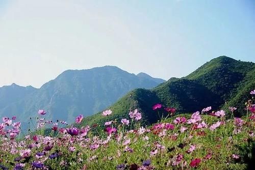 “八碟八碗”，是村中的招牌菜，这里山野菜都是当地特产