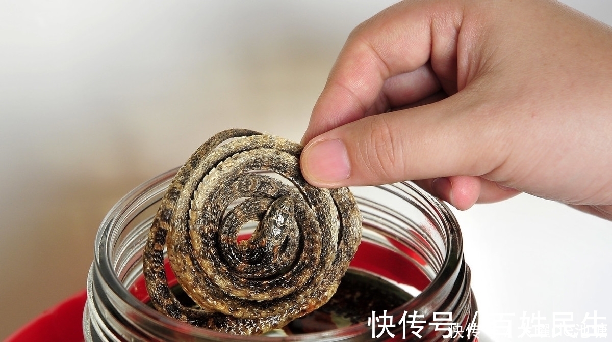 苍耳子|是药三分毒,泡药酒更要谨慎,医生提醒:4种药材严禁泡酒!