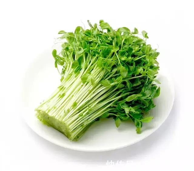 三高|均衡饮食,“降三高”食物清单请查收!