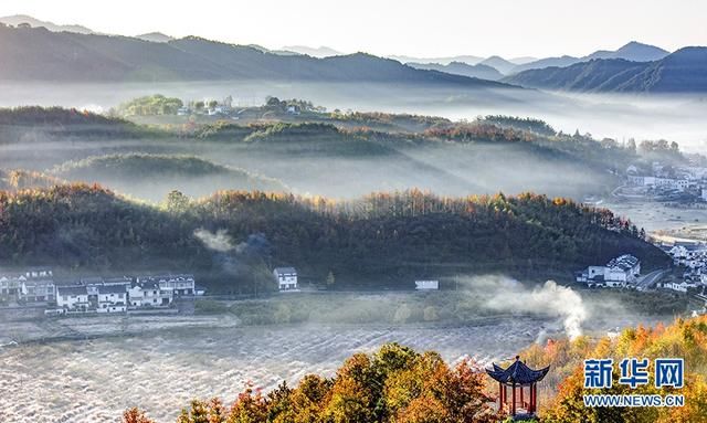 晨雾薄如轻纱，安徽潜山田园绚丽缤纷，静美如画|图说 | 平流雾