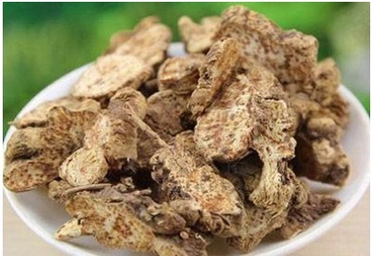 脾胃|脾胃不好的人，气血大多也虚弱，试试它，健脾益胃，补气血