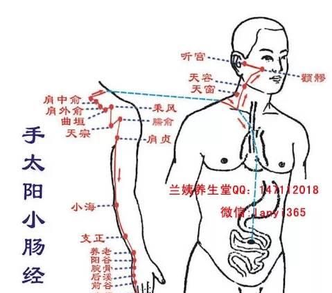  经上班时间|治百病经络大全：身体不舒服了，指导你拍哪条经络！疾病一扫光