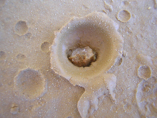 月球 为什么陨石坑里都没有陨石?都被谁拿走了?