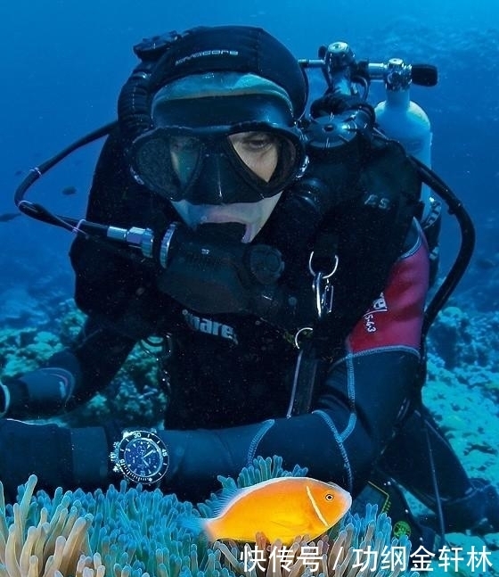 着巨大|运动表和潜水表之间有何区别?