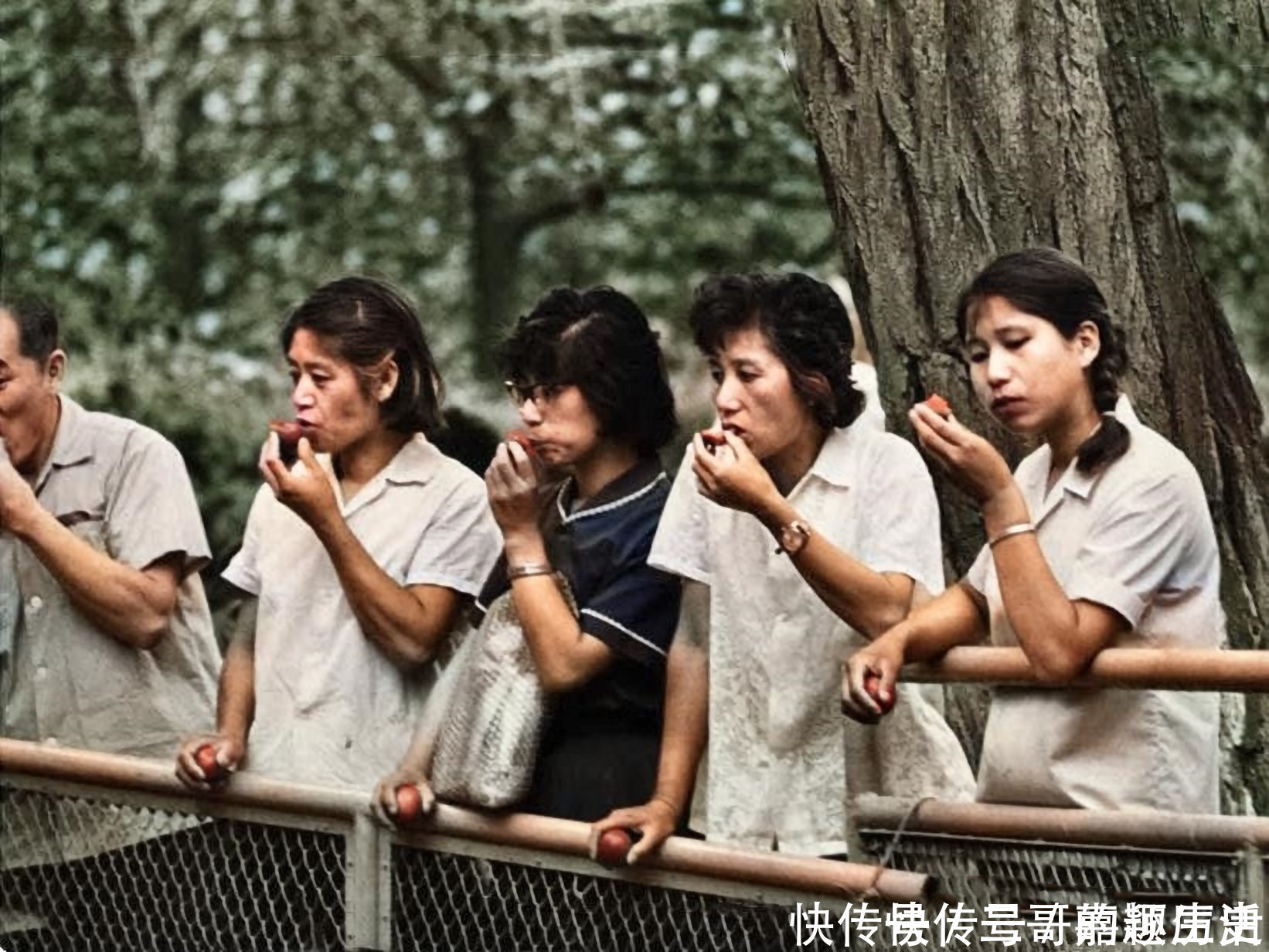 80年代老照片 花两毛钱在故宫开一次豪车 穿泳装的女孩很前卫 全网搜 80年代老照片 花两毛钱在故宫开一次豪车 穿泳装的女孩很前卫 全网搜