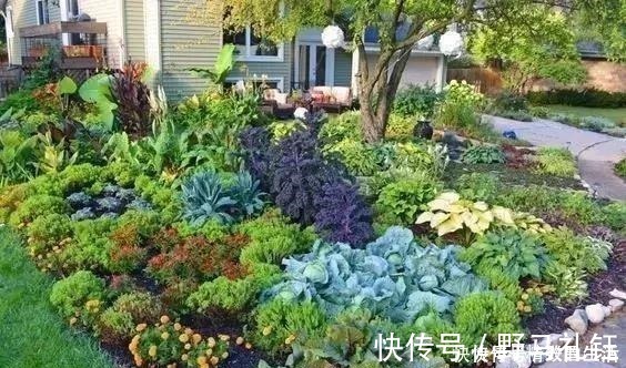 种菜|别墅院子这样设计,庭前栽花,屋后种菜,实现梦想中的田园生活!