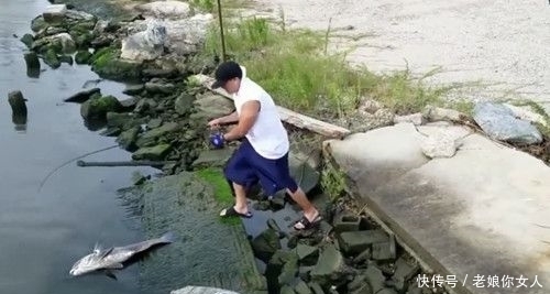 木板|好不容易钓到大鱼,虽然出了点意外但是鱼还在!