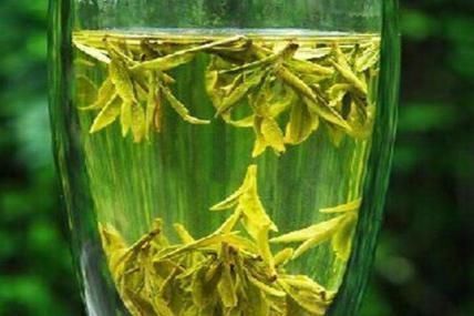 蛀牙|经常性牙龈出血,真的是上火吗?常吃此8种食物可帮你拥有好牙齿