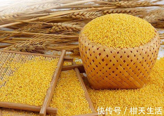 葡萄干|煮小米粥时不要放三种食物，却有很多人不清楚，别怪我没提醒你