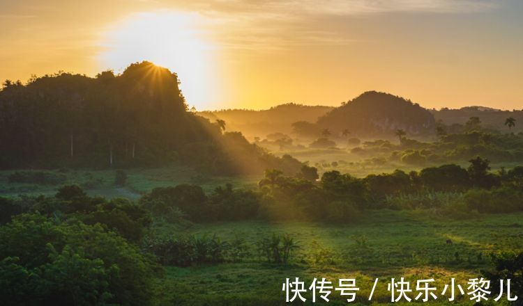 性格|内心很野性，没人可以束缚的星座，生来性格强势，不向任何人屈服