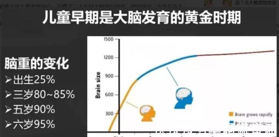发育|哈佛研究发现：3岁前，宝宝多接受这些“刺激”，大脑会更聪明