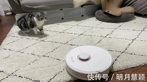 小丰|日本人的家为什么干净整洁,久住不乱?根源终于找到了……