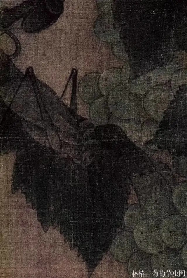 蝈蝈$国画技法图典——草虫篇:蝗虫 蚂蚱 蝈蝈 螽斯 螳螂 蟋蟀