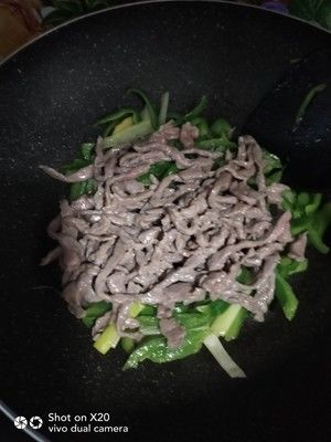  家常牛肉菜谱，嫩嫩的青椒炒牛肉里脊，简单美味营养，超级下饭