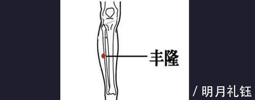 阴陵泉穴|穴位妙用,常按5个穴位,解决高血脂,远离心脑血管疾病