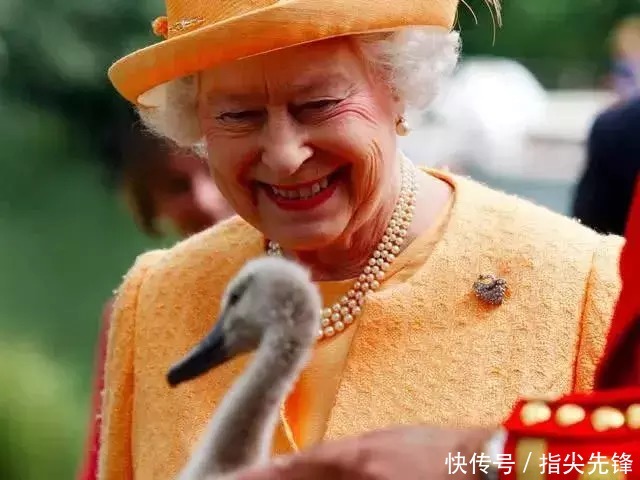 剑桥|剑桥“水怪”!揍人打狗未逢敌手?这么嚣张居然是女王给ta撑腰