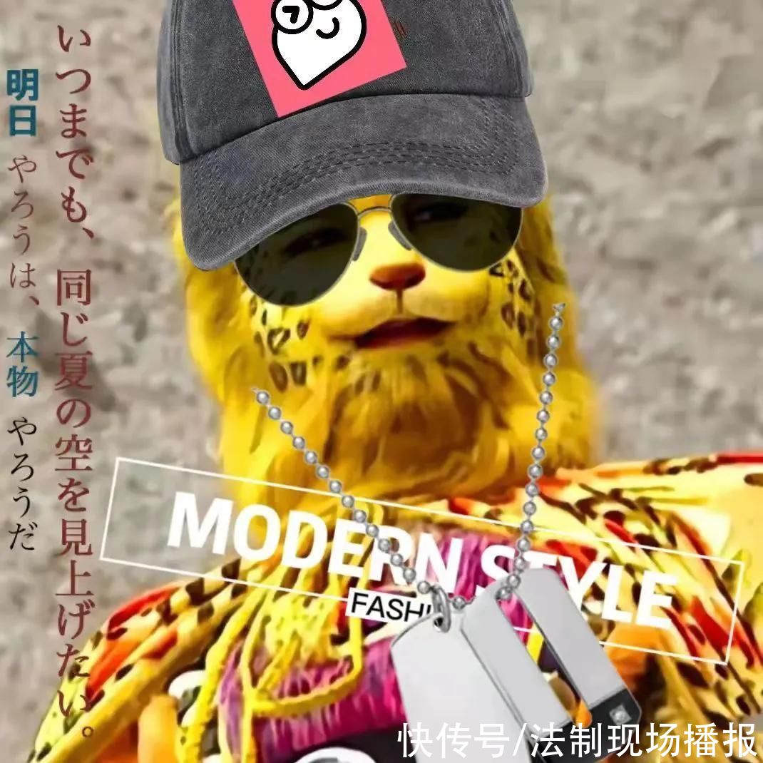 发财|2022年最火头像《金钱豹》是什么梗?他就是想发财 他有什么错