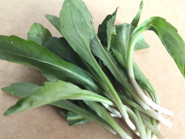 野菜|春天挖野菜,送你56种野菜大图片,带你见识不同的野菜和吃法