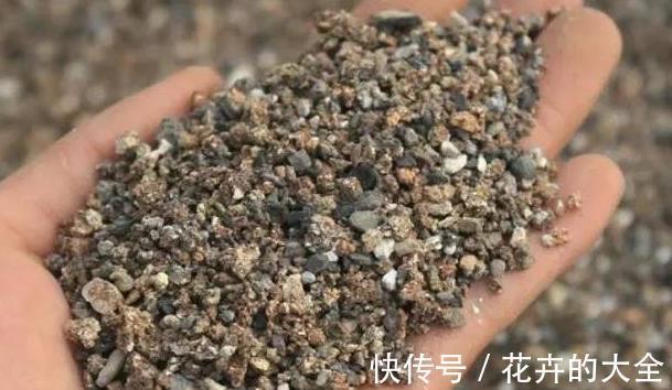 土壤|以下东西不要扔了,土里拌一些,养花效果好,改善土壤!