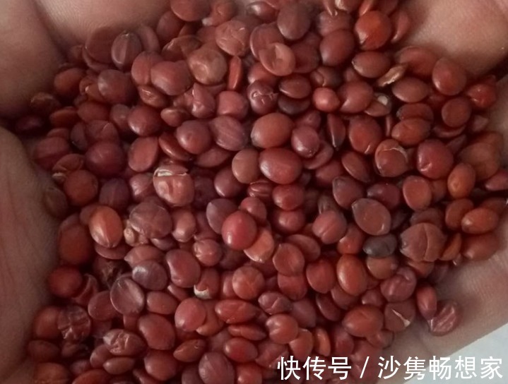 宁心安神|气血虚容易老,1个食疗方比吃10斤阿胶帮助还大,还花钱少!