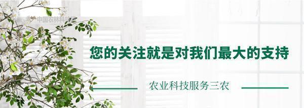 古寺|李世民母亲铜镜隐映出的寺庙,杨凌小湋河塬畔的照镜古寺