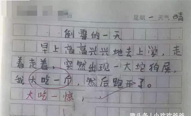 作文|小学生作文“我的小姨”火了，内容简单有趣，不知道小姨看过没？