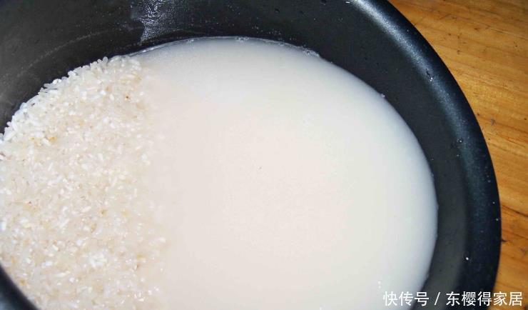 花卉|盆栽养花浇水不简单，常用这4种“水”，容易浇一盆死一盆