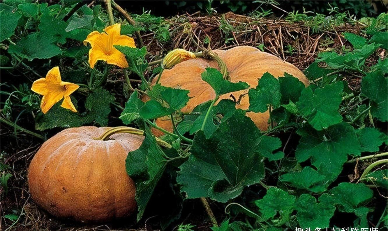 春天了,多吃3种食物,排毒养颜,调理肠胃,好处多多